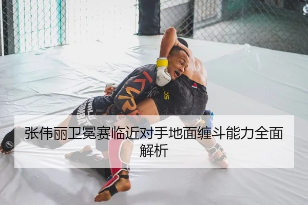 张伟丽卫冕赛临近对手地面缠斗能力全面解析
